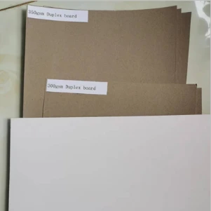 Cardboard Duplex： A Paradox of Temporality and Permanence