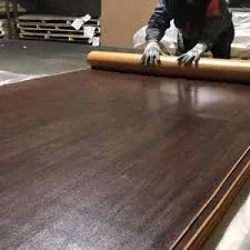 duplex board white back product